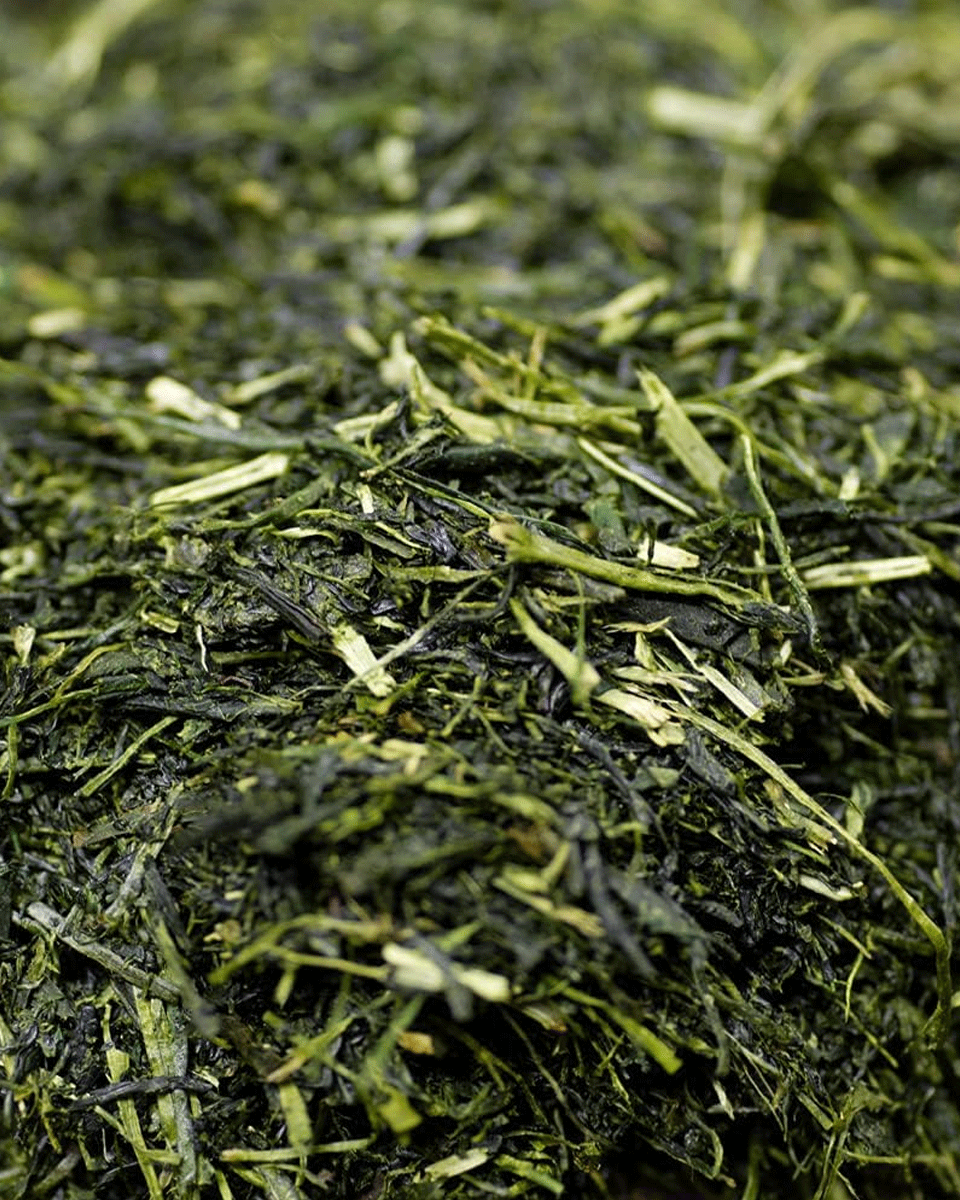 Wakohen Fukamushicha Ryokucha Densetsu Kaori 80g